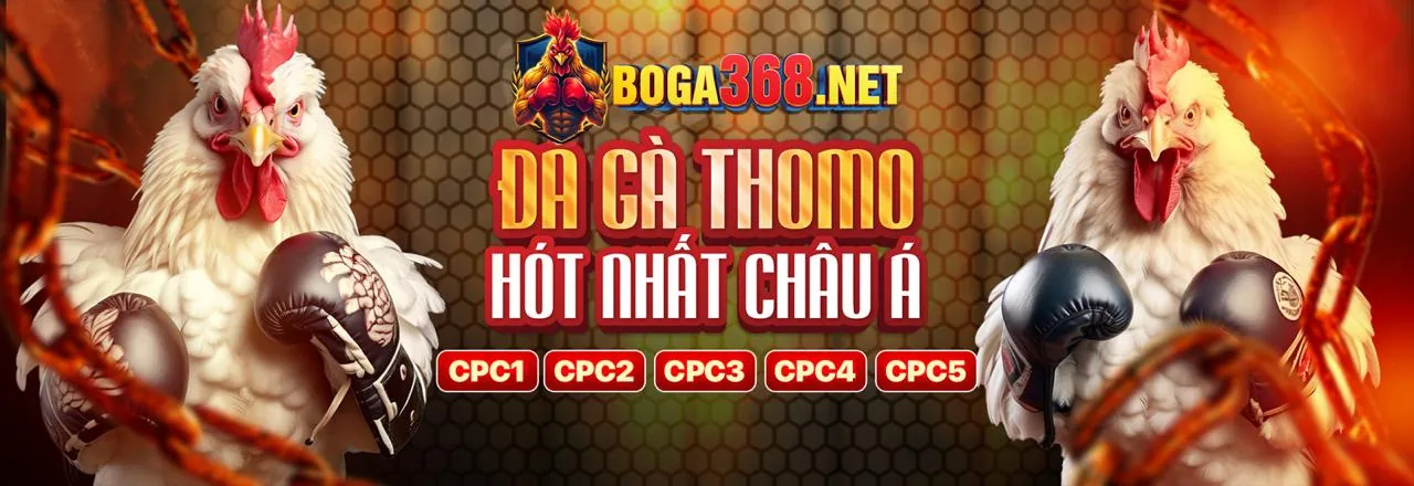 Chính sách bảo mật vk999 nhà cái