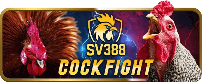 Khuyến mãi đăng ký mới tại vk999 nhà cái